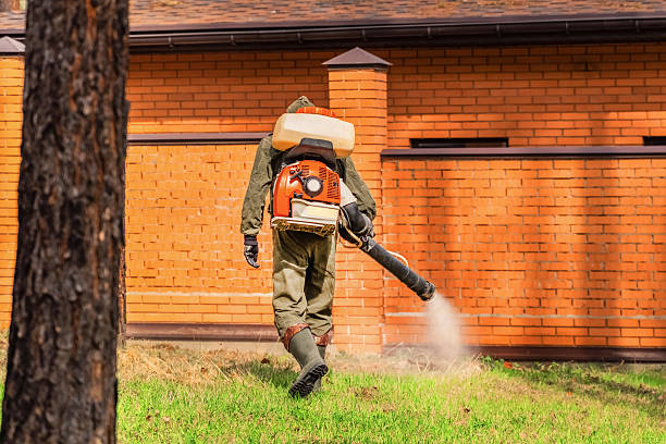 Bed Bug Clearance Verification and Documentation in Jefferson